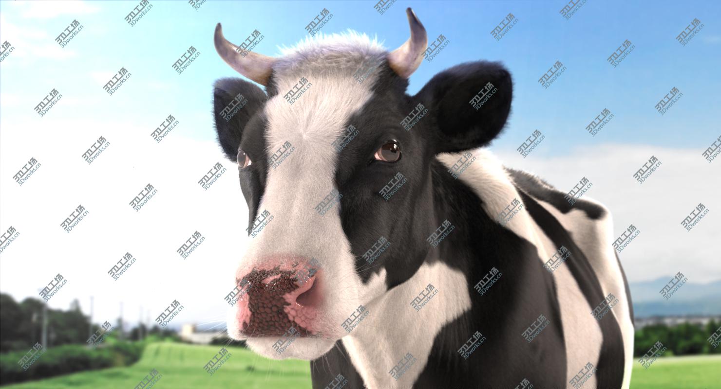 images/goods_img/202104091/Cow Realistic/2.jpg
